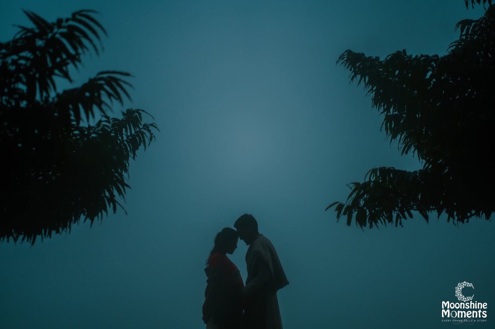 Misty Silhouette — Moonshine Moments