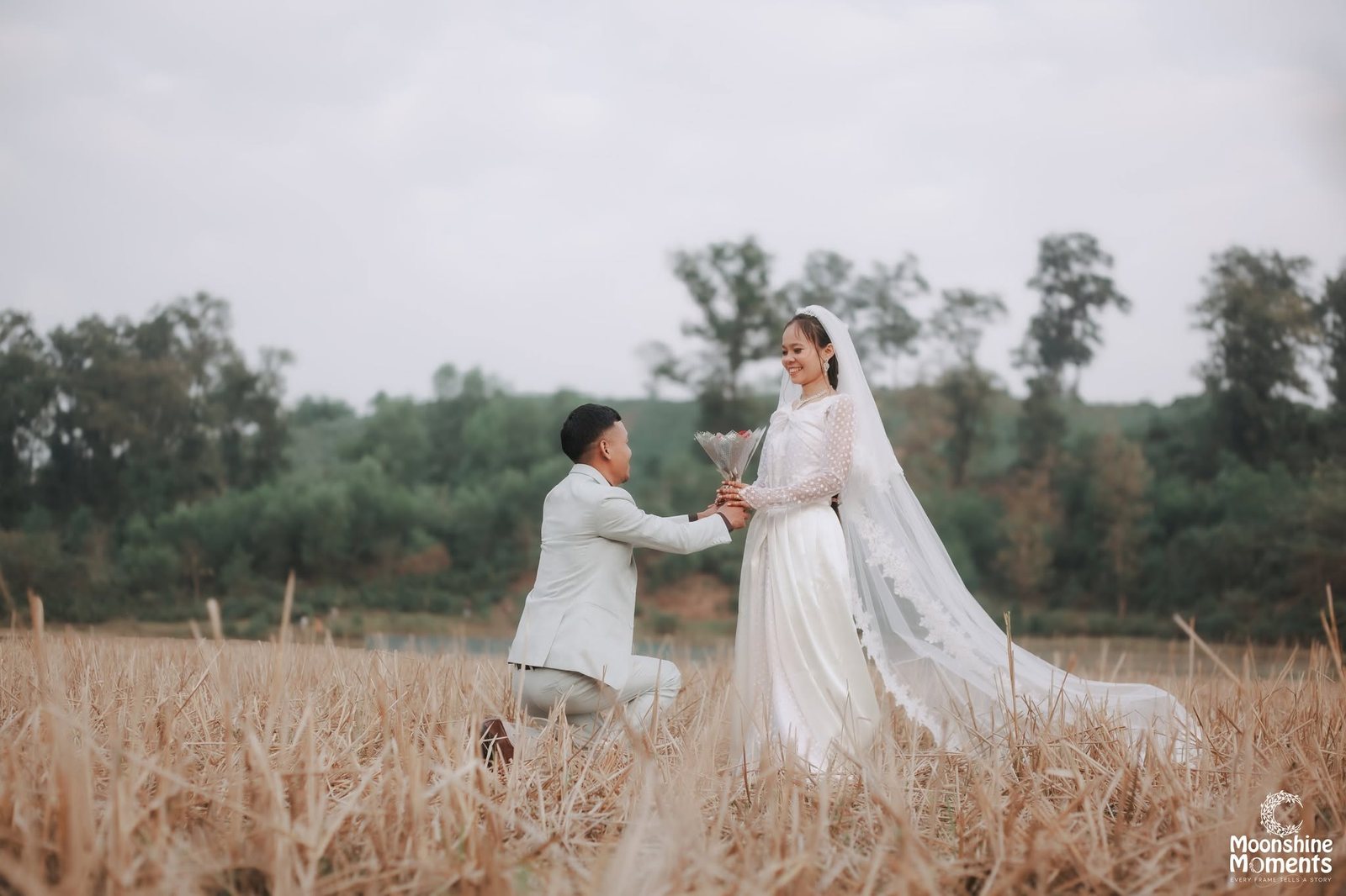 The Proposal — Moonshine Moments